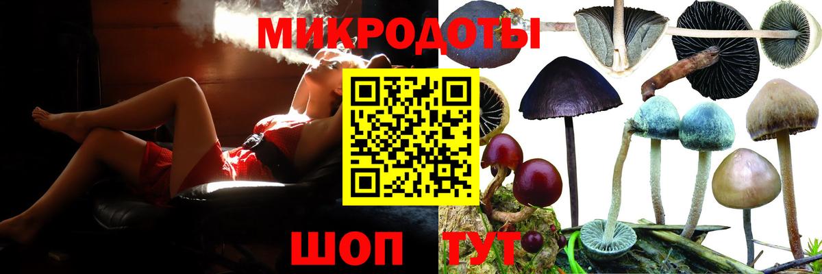 Псилоцибиновые грибы MAGIC MUSHROOMS Шахты